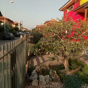 Coccinella , Mozzo Italia